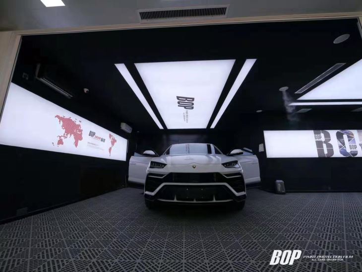 Paint Protection Film PPF Pro